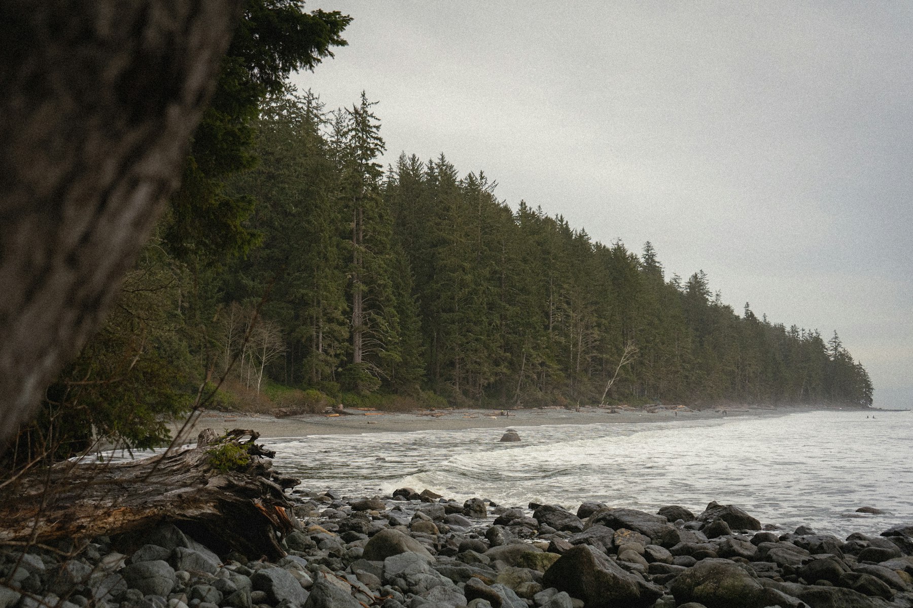 A misty forested shoreline meeting a pebbled beach on the BC coast (placeholder photo)