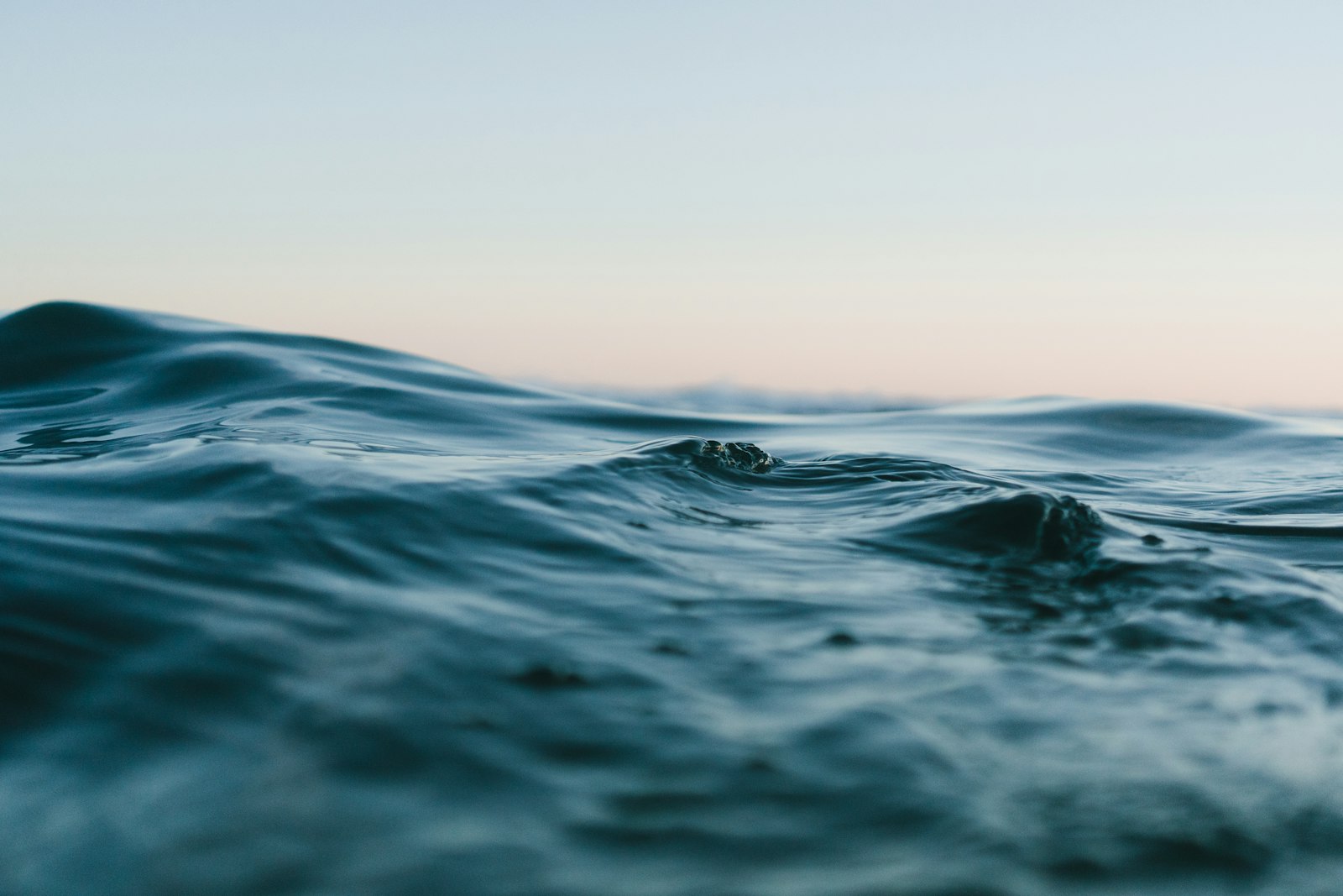 Deep blue-green ocean swell at dusk (placeholder photo)
